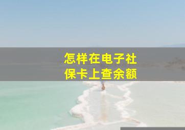 怎样在电子社保卡上查余额