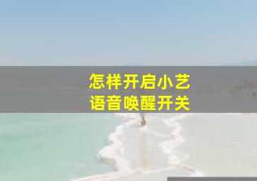 怎样开启小艺语音唤醒开关