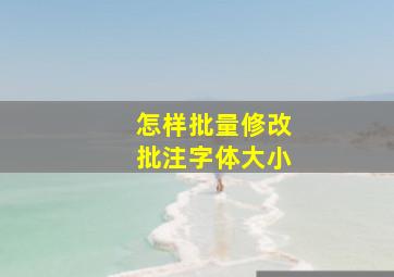 怎样批量修改批注字体大小