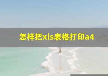 怎样把xls表格打印a4