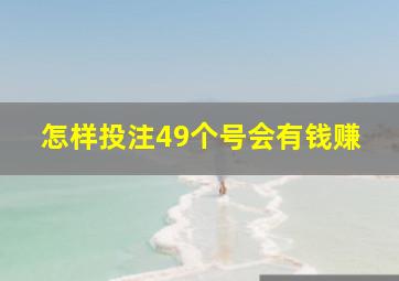 怎样投注49个号会有钱赚