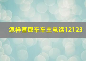 怎样查挪车车主电话12123