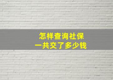 怎样查询社保一共交了多少钱