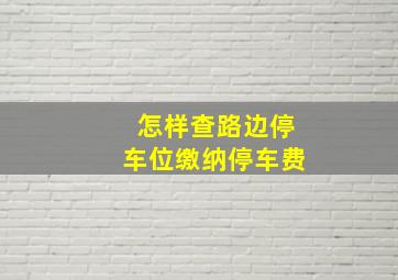 怎样查路边停车位缴纳停车费