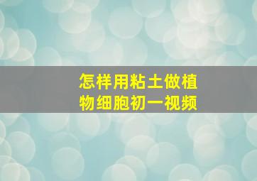 怎样用粘土做植物细胞初一视频