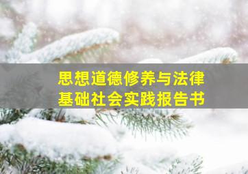 思想道德修养与法律基础社会实践报告书