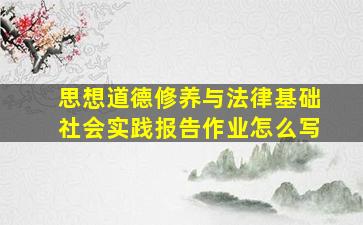 思想道德修养与法律基础社会实践报告作业怎么写