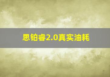 思铂睿2.0真实油耗