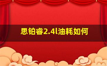 思铂睿2.4l油耗如何