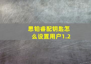 思铂睿配钥匙怎么设置用户1.2