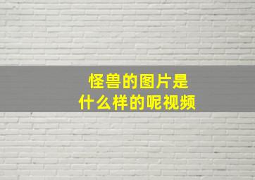 怪兽的图片是什么样的呢视频