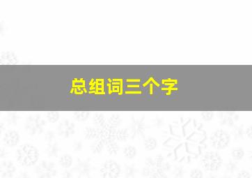 总组词三个字