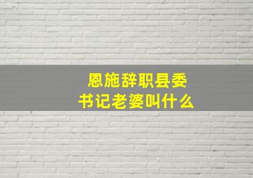 恩施辞职县委书记老婆叫什么