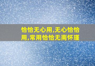 恰恰无心用,无心恰恰用,常用恰恰无南怀瑾