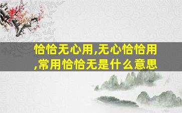 恰恰无心用,无心恰恰用,常用恰恰无是什么意思