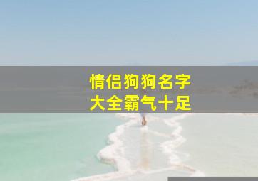 情侣狗狗名字大全霸气十足