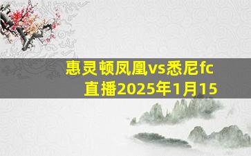 惠灵顿凤凰vs悉尼fc直播2025年1月15