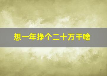 想一年挣个二十万干啥