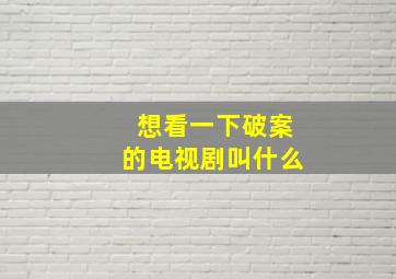 想看一下破案的电视剧叫什么