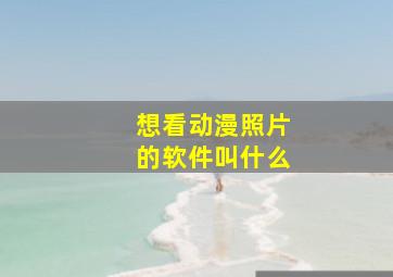 想看动漫照片的软件叫什么