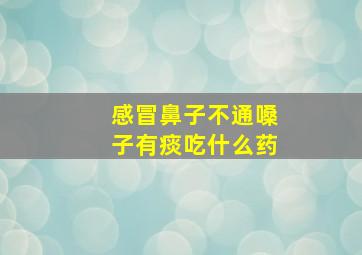 感冒鼻子不通嗓子有痰吃什么药