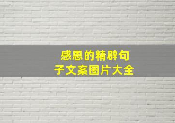 感恩的精辟句子文案图片大全