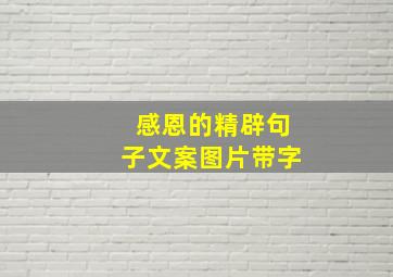 感恩的精辟句子文案图片带字