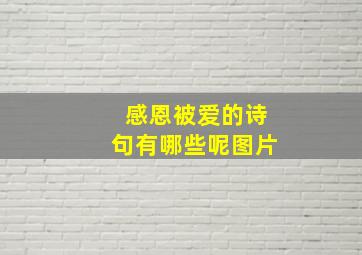 感恩被爱的诗句有哪些呢图片