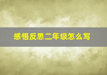 感悟反思二年级怎么写