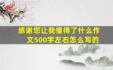 感谢您让我懂得了什么作文500字左右怎么写的