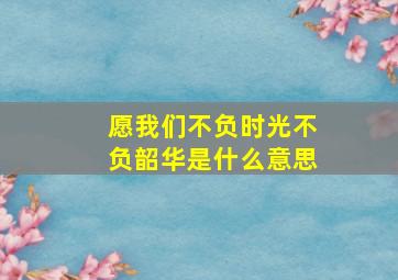 愿我们不负时光不负韶华是什么意思