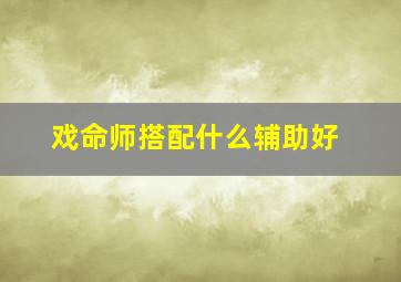 戏命师搭配什么辅助好