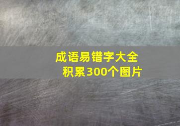 成语易错字大全积累300个图片