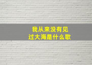 我从来没有见过大海是什么歌