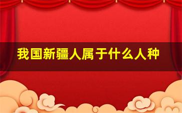 我国新疆人属于什么人种