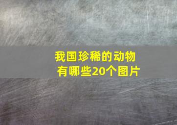 我国珍稀的动物有哪些20个图片