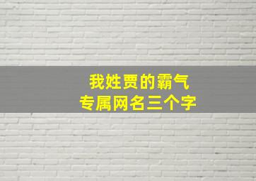 我姓贾的霸气专属网名三个字