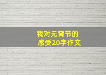 我对元宵节的感受20字作文