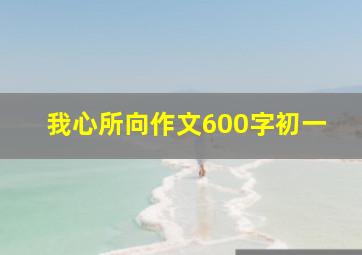 我心所向作文600字初一