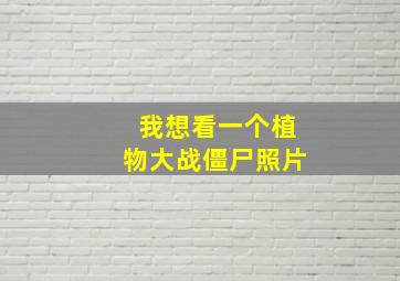 我想看一个植物大战僵尸照片