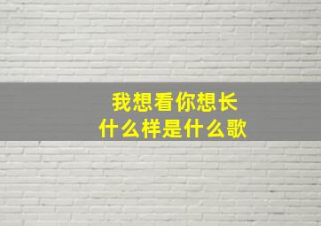 我想看你想长什么样是什么歌