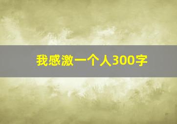 我感激一个人300字