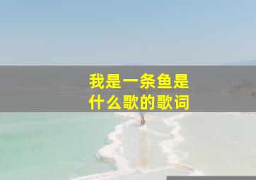 我是一条鱼是什么歌的歌词