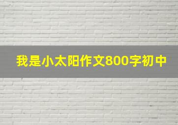 我是小太阳作文800字初中