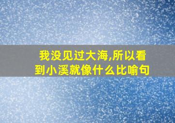 我没见过大海,所以看到小溪就像什么比喻句