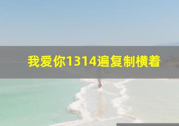 我爱你1314遍复制横着