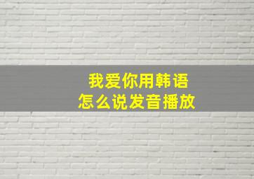 我爱你用韩语怎么说发音播放