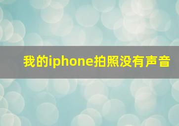 我的iphone拍照没有声音