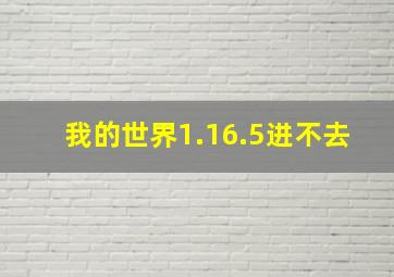 我的世界1.16.5进不去