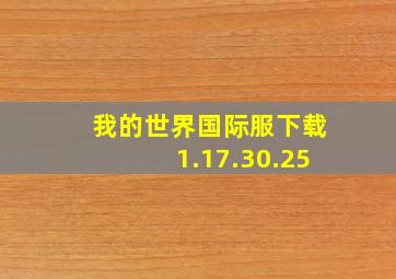 我的世界国际服下载1.17.30.25